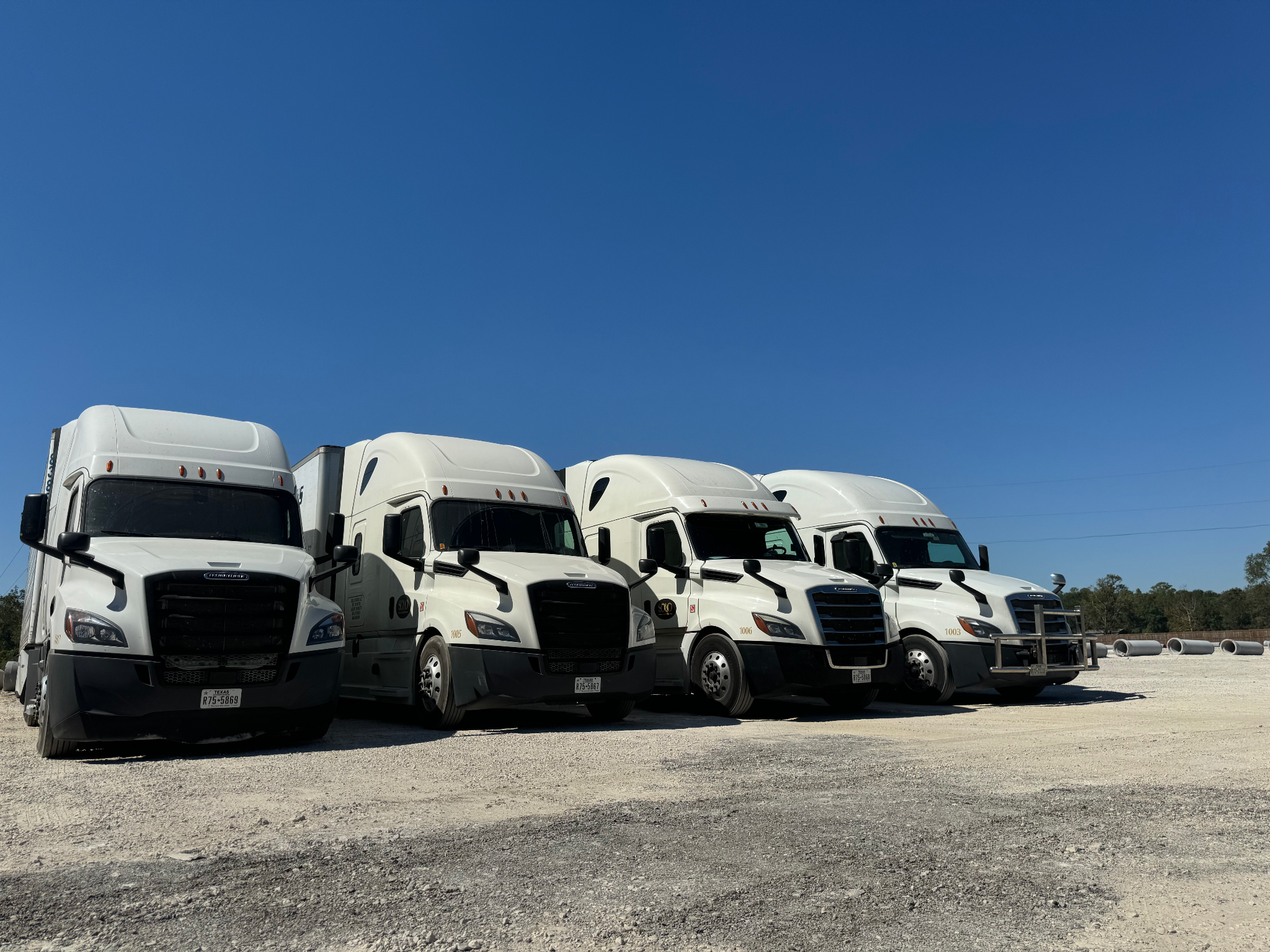 Logo Item